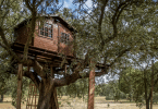 étapes pour construire une cabane dans les arbres