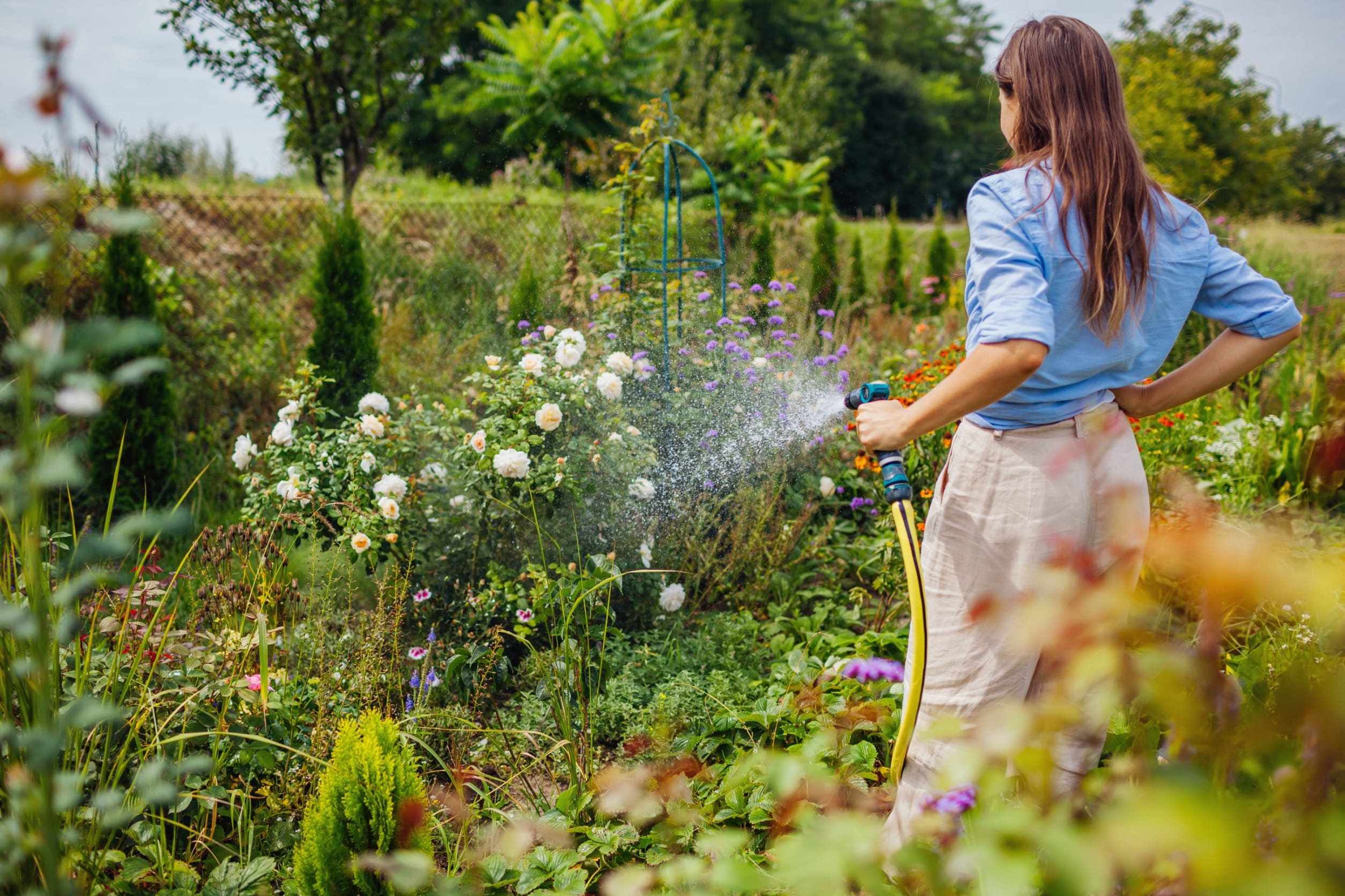 Comment bien entretenir son jardin comme un pro